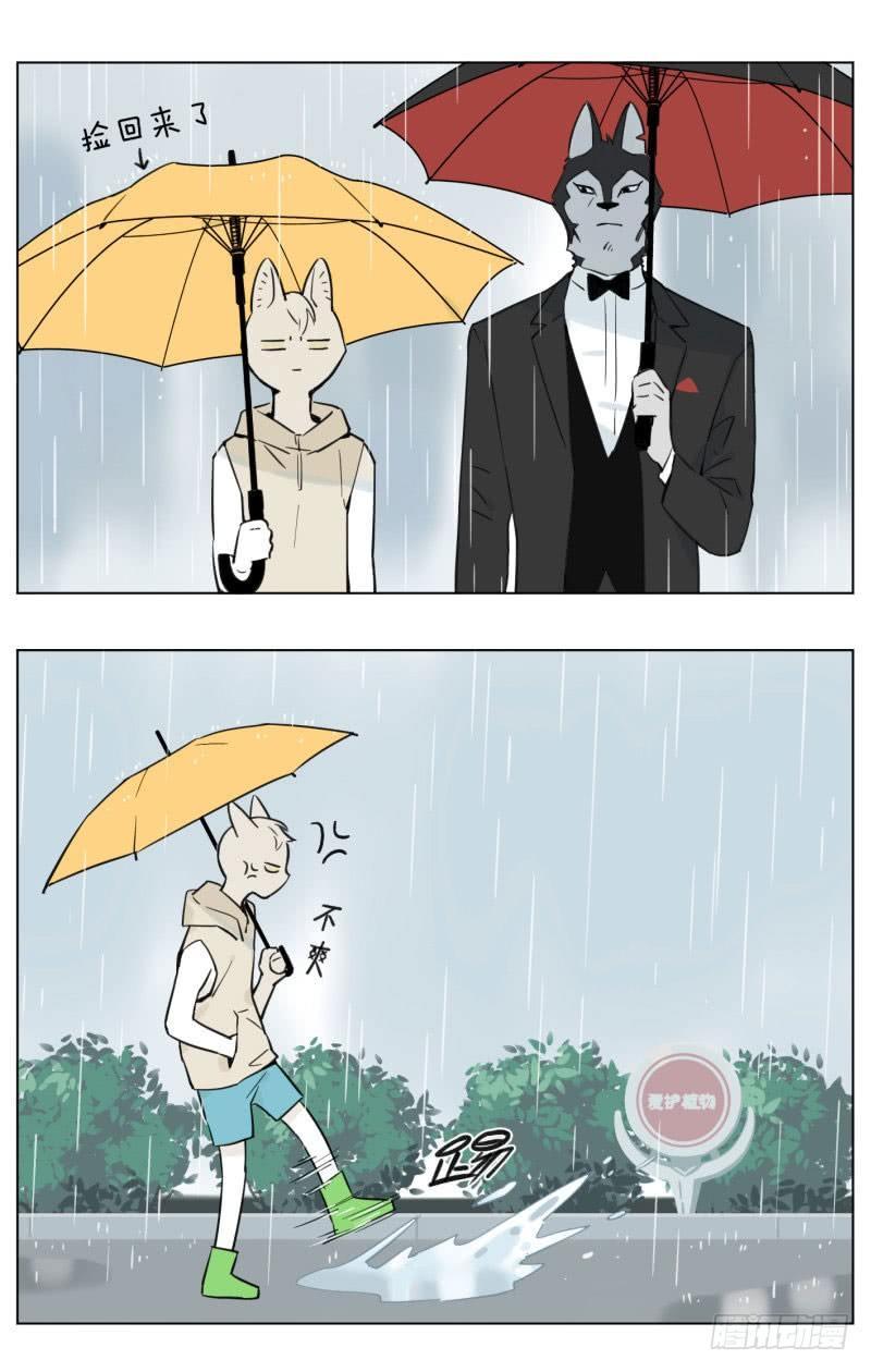 雨天3