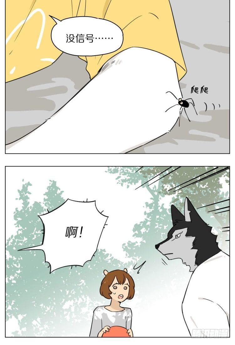 露营21