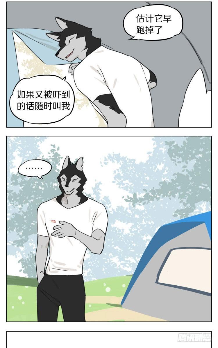 露营29