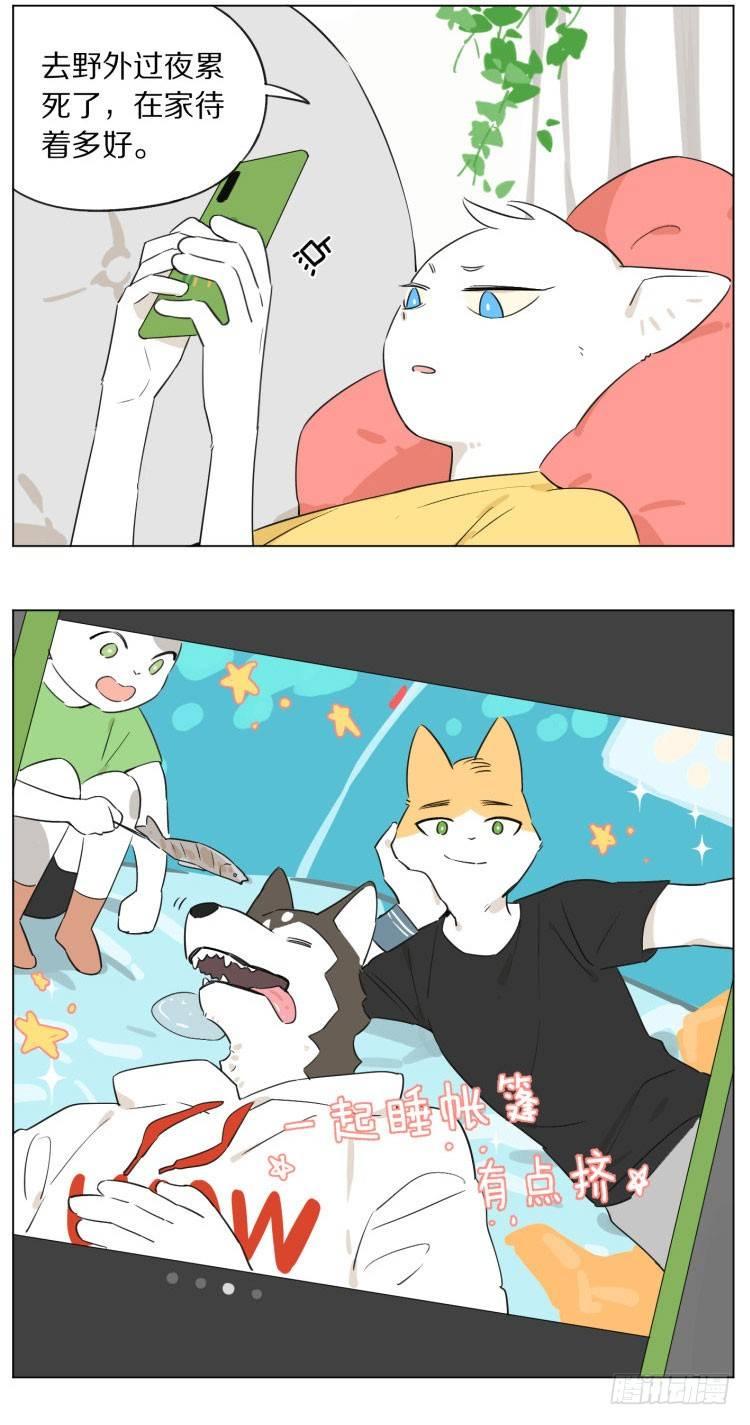 露营1