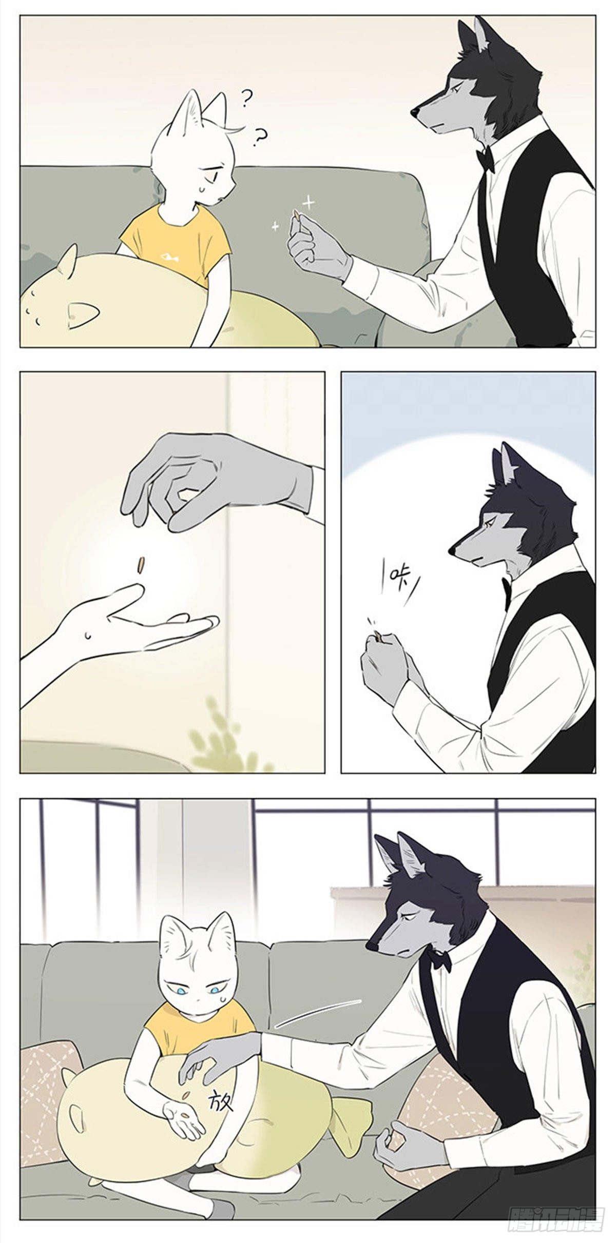 回来啦~5