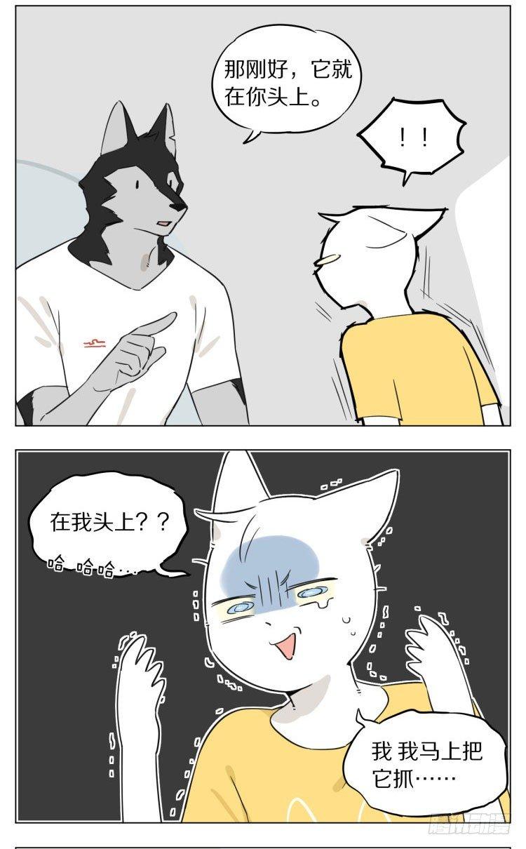 露营27