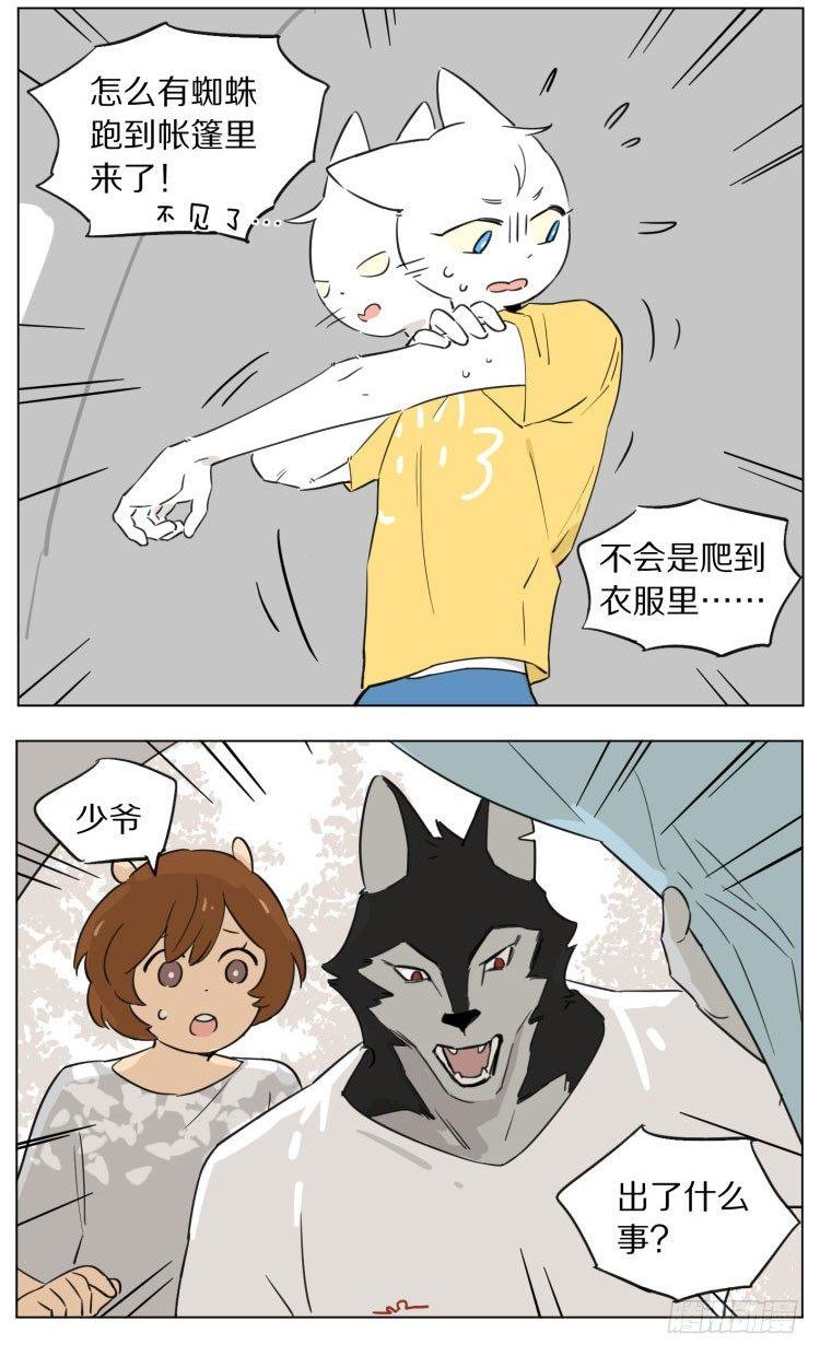 露营22