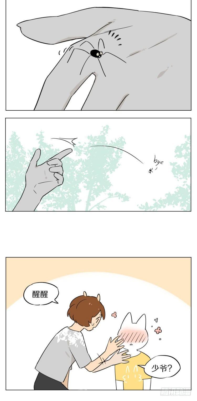 露营210