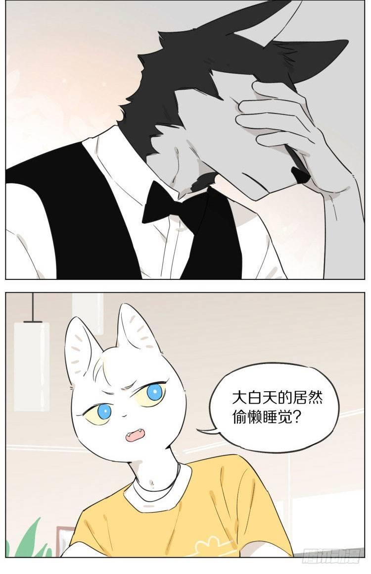 写作业6