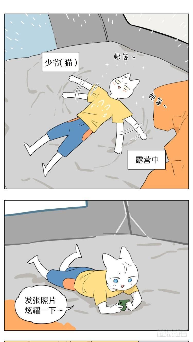 露营20