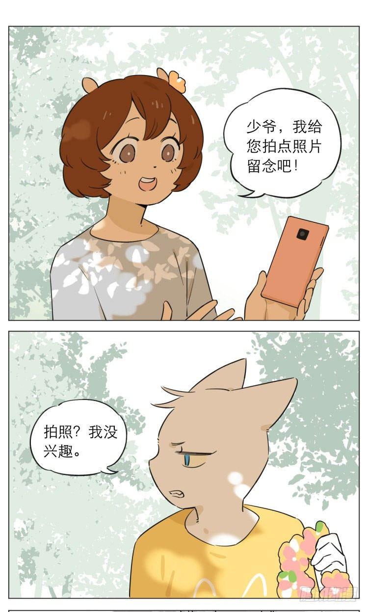 露营34