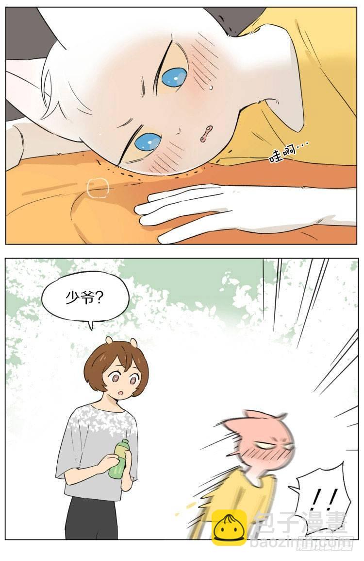 露营8