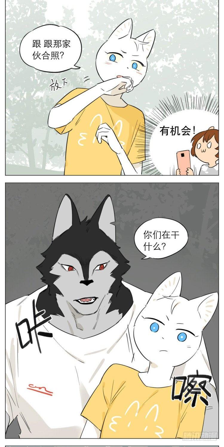 露营36