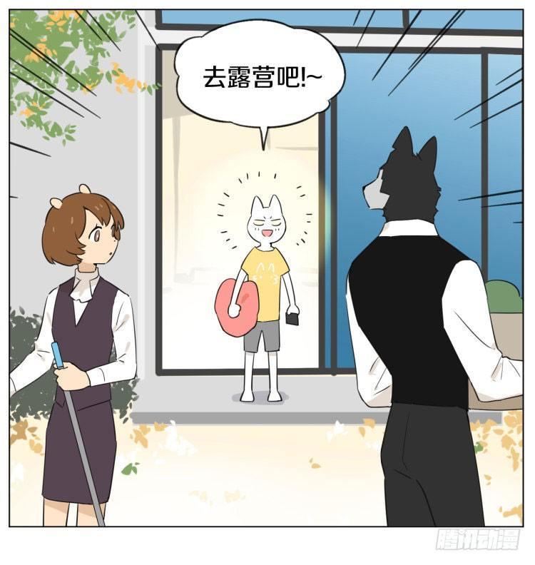 露营2