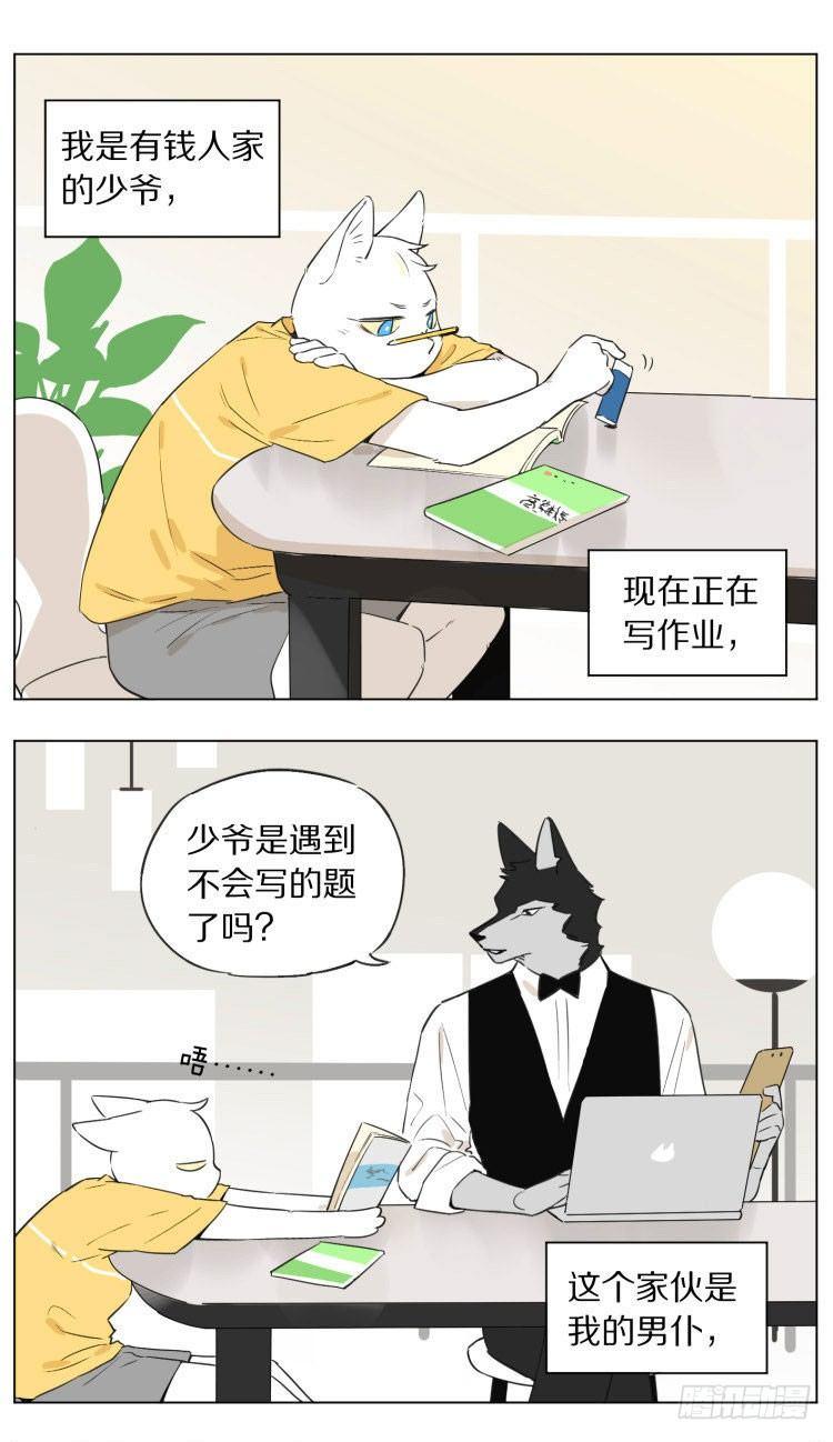写作业0