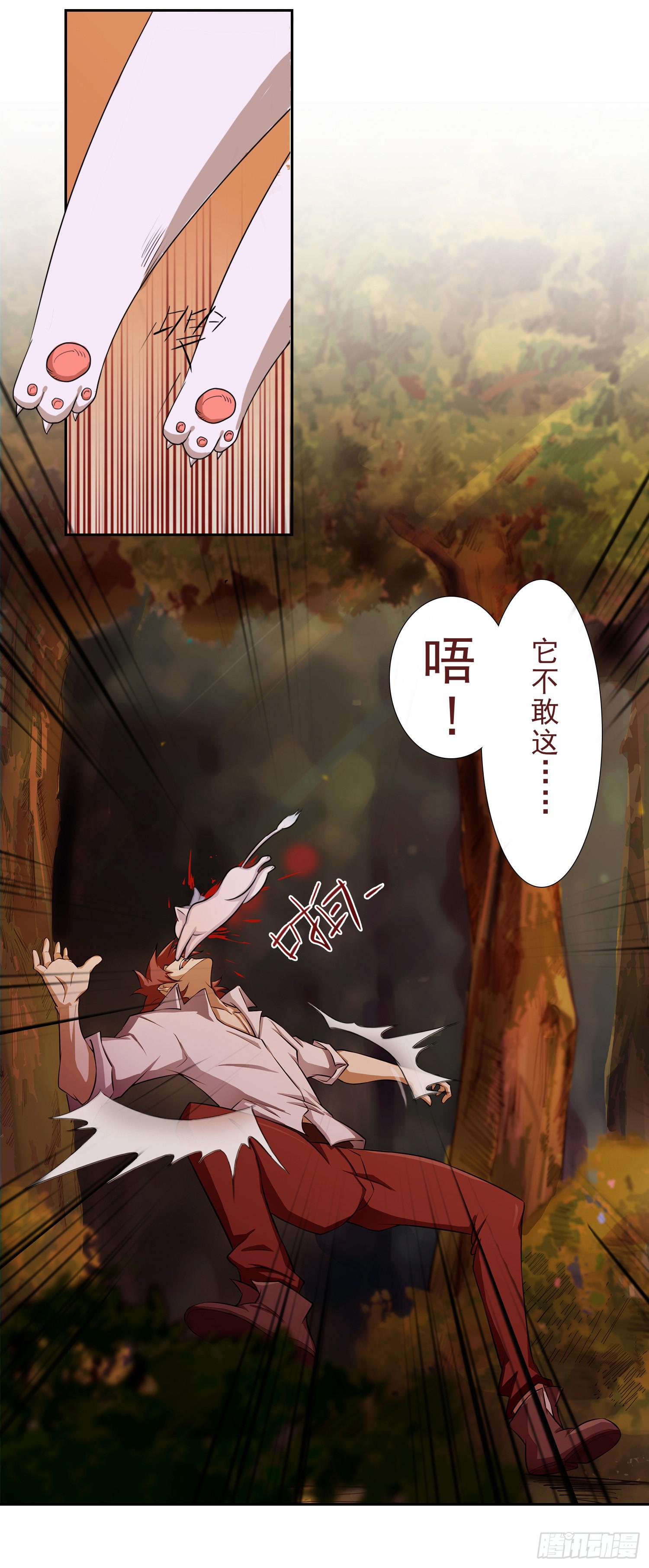 NO.1 遗言54