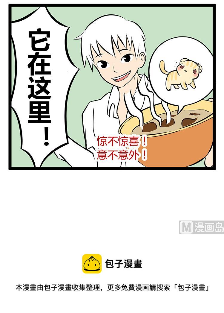 可爱的狗狗2