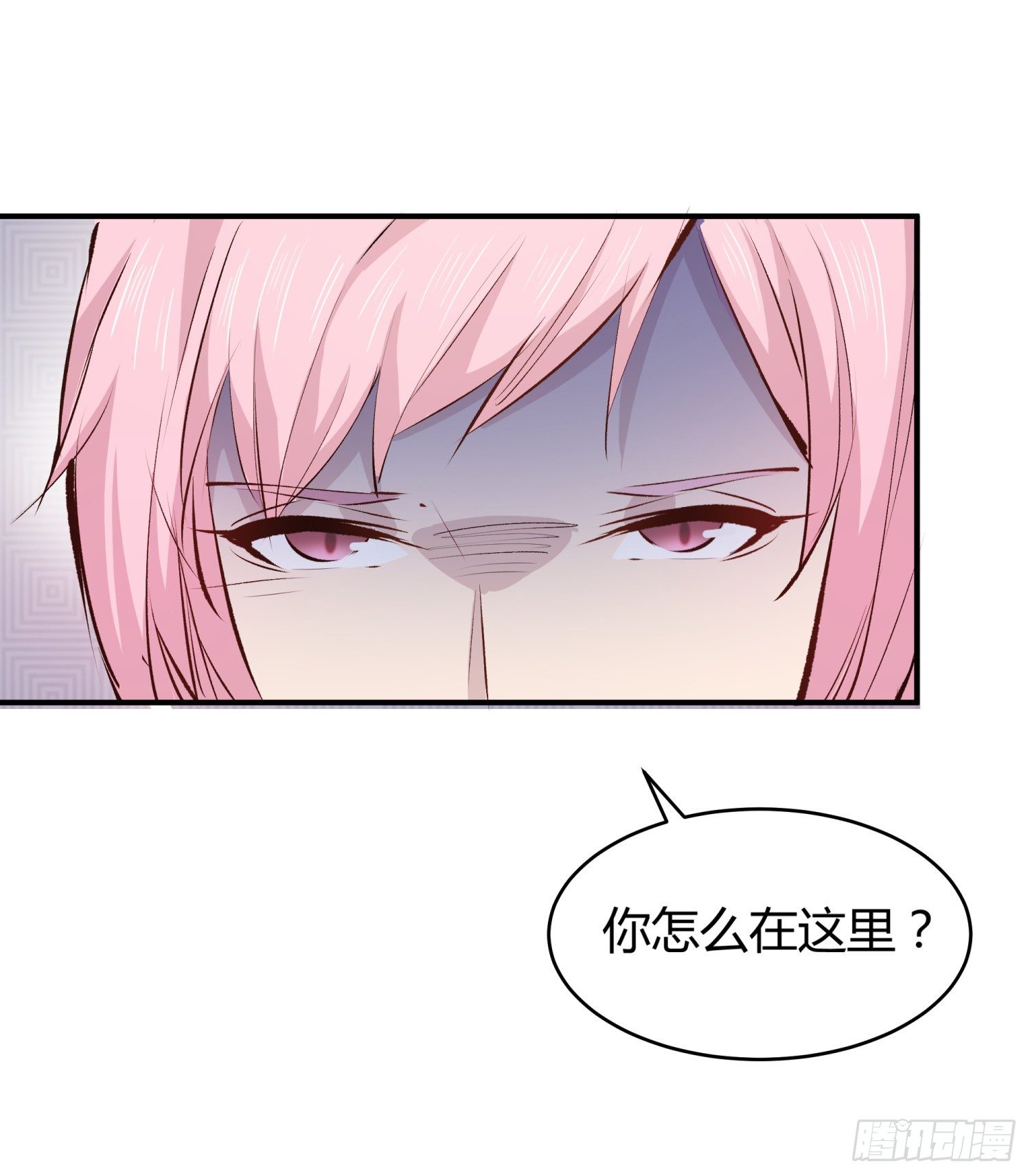 019 风白现身4