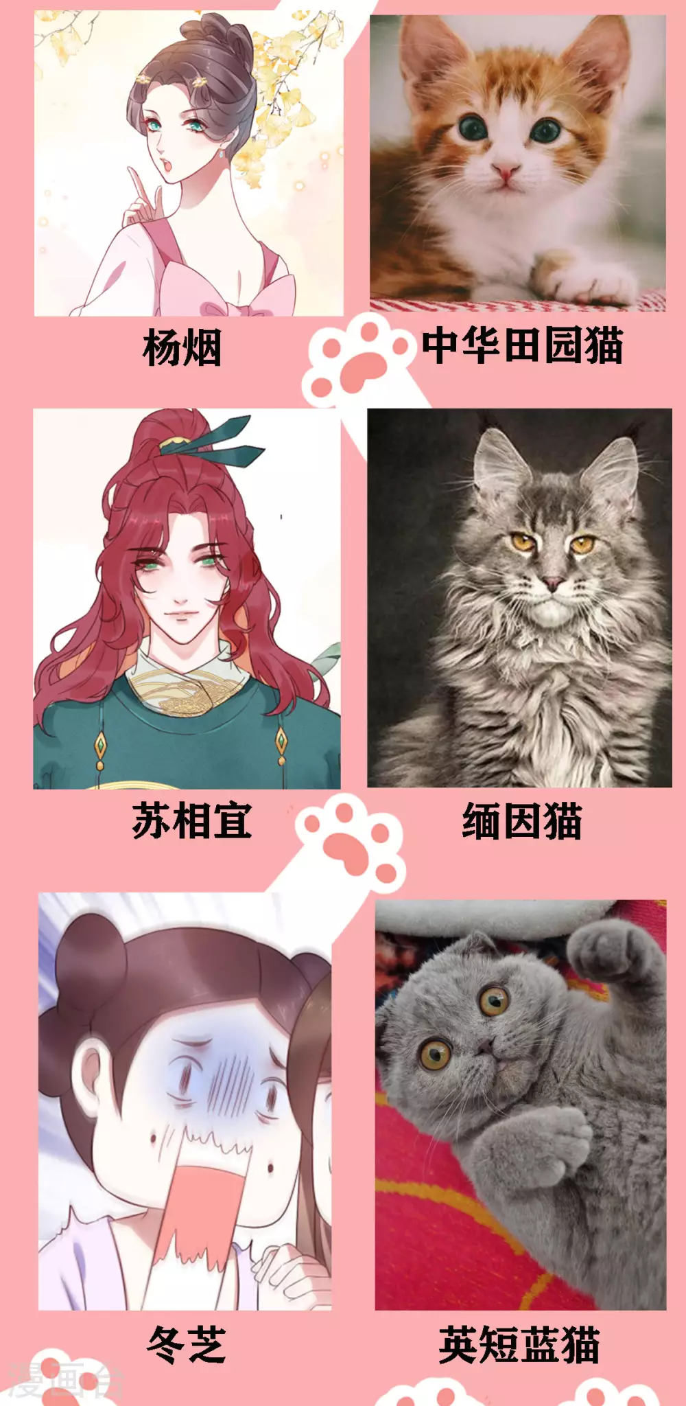 停更公告 喵喵喵！1