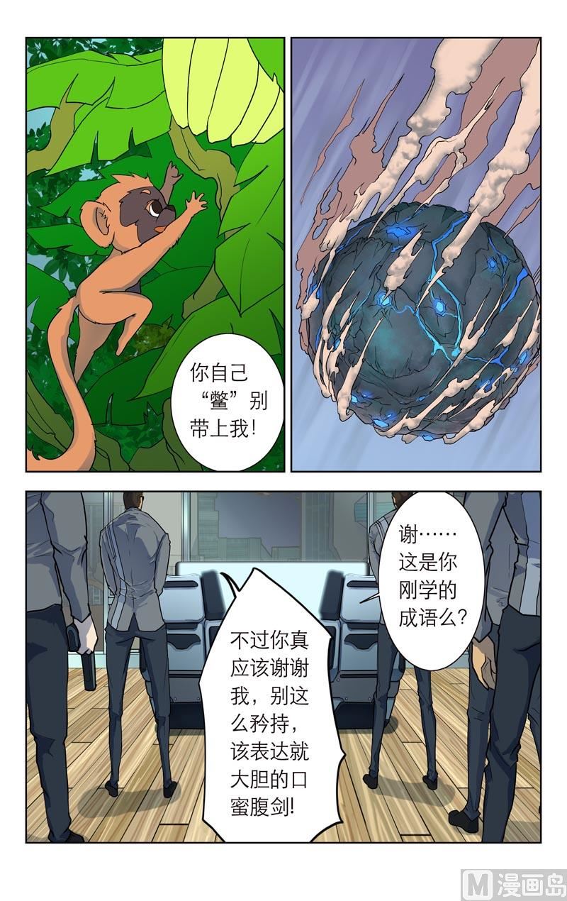 高级待遇4