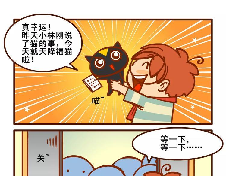 养猫记19