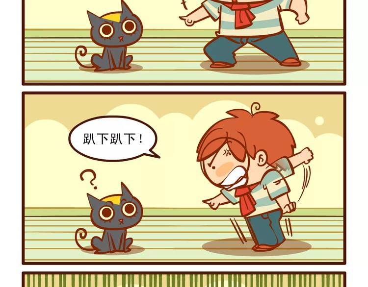 训猫记1