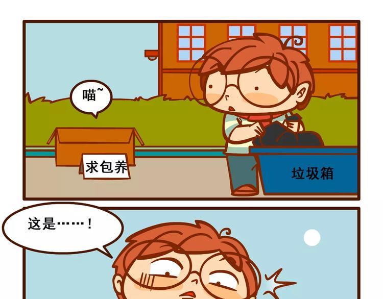 养猫记16