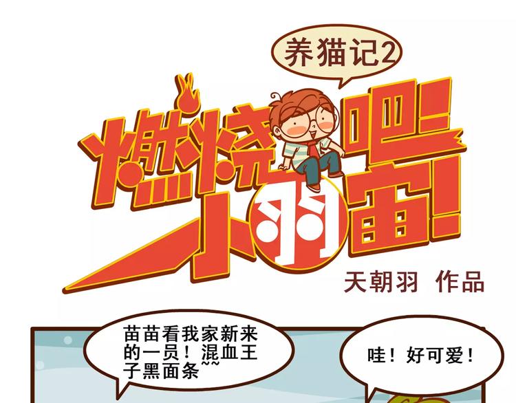养猫记20