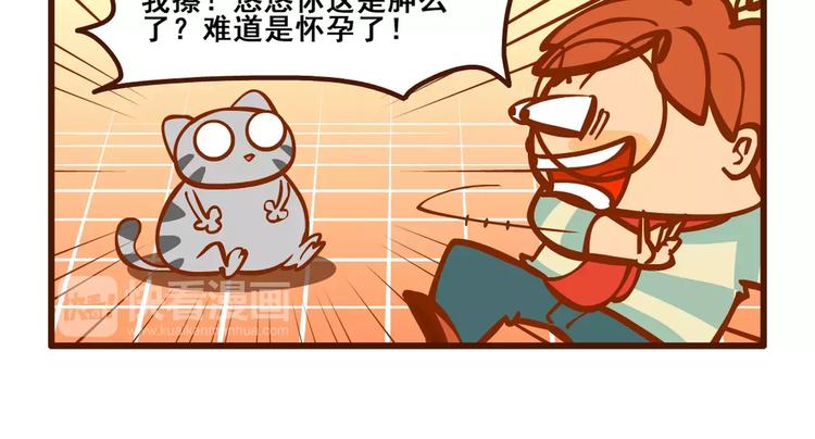 养猫记520