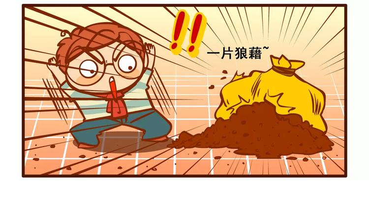 养猫记517