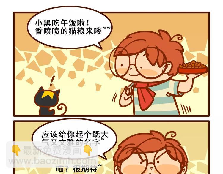 养猫记118