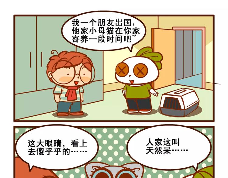 养猫记418