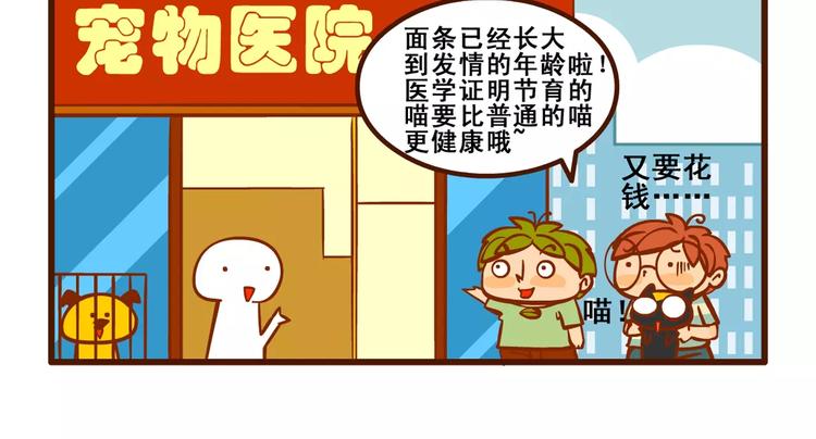 养猫记414