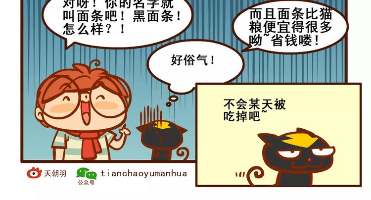 养猫记123