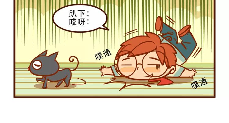 训猫记2