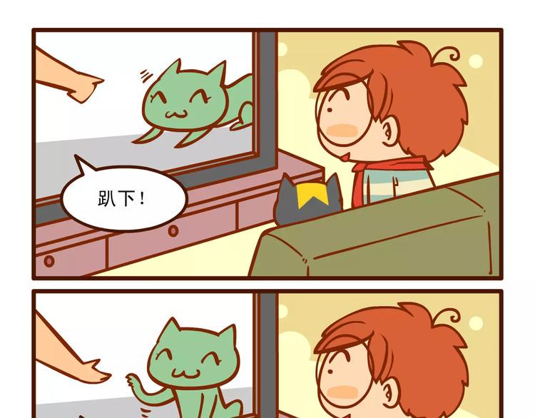 训猫记3