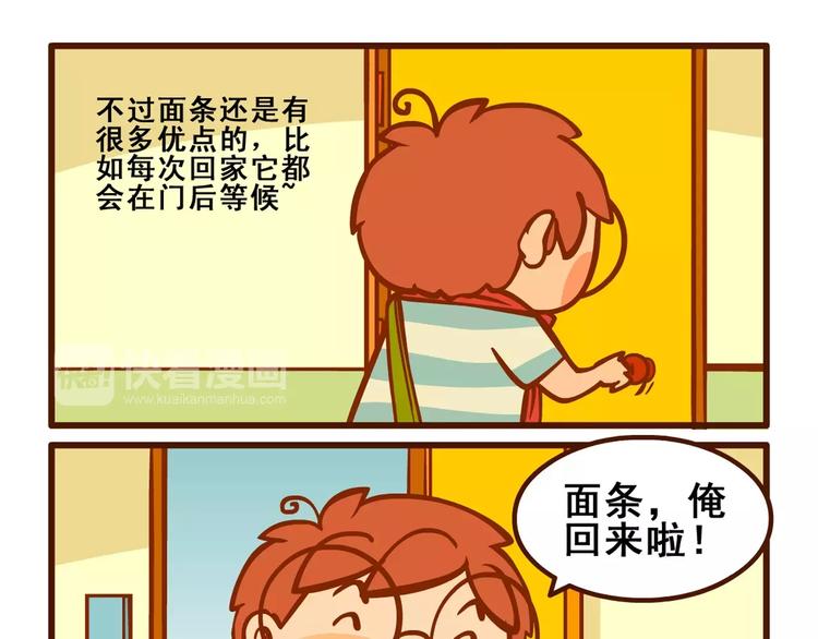 养猫记318