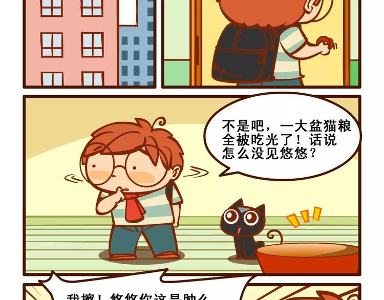 养猫记519