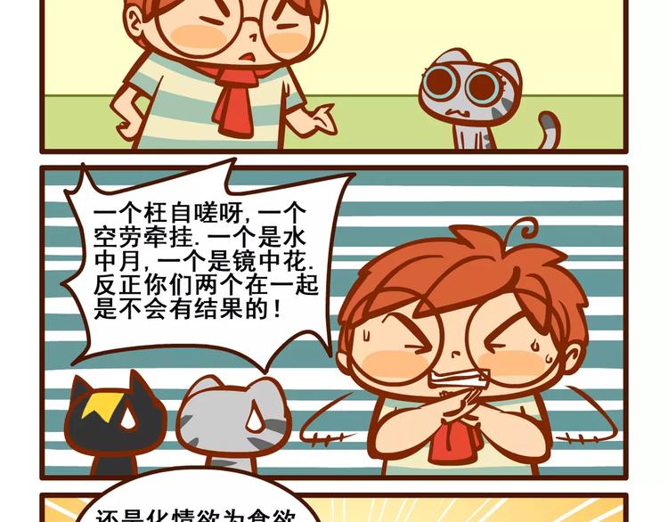 养猫记57