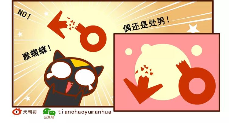 养猫记223