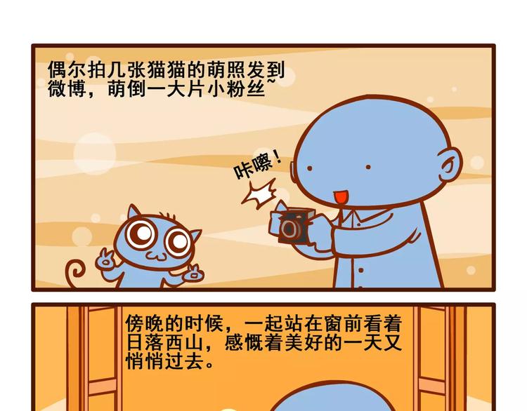 养猫记33