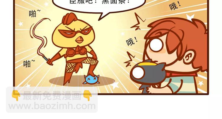 训猫记11