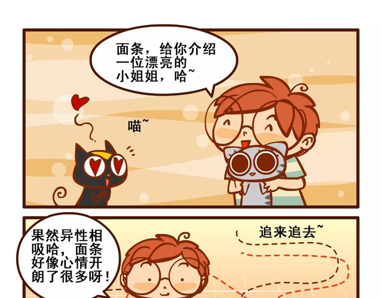 养猫记421