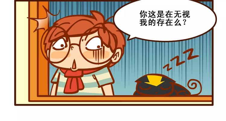 养猫记311