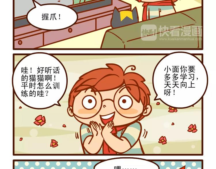 训猫记4