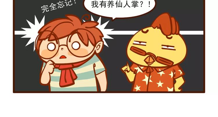 养花记14