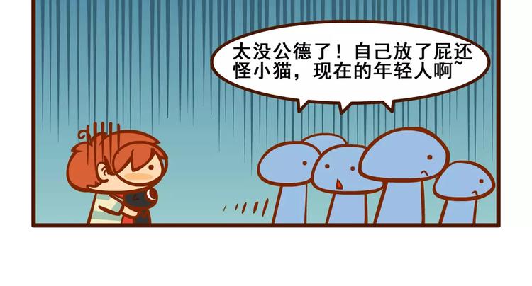 养猫记114