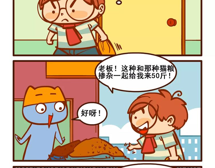 养猫记510