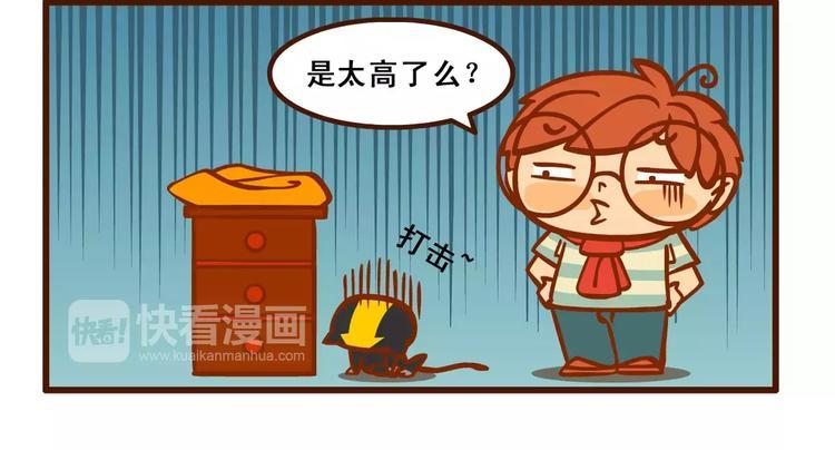 养猫记117