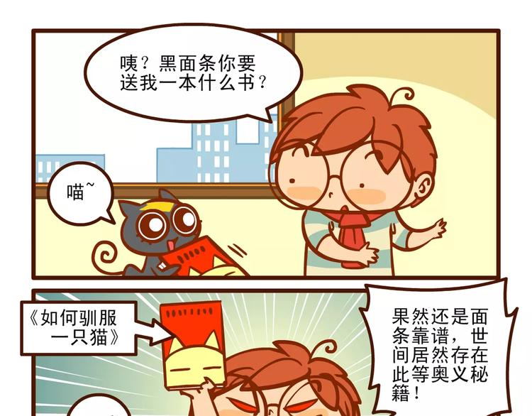 训猫记12