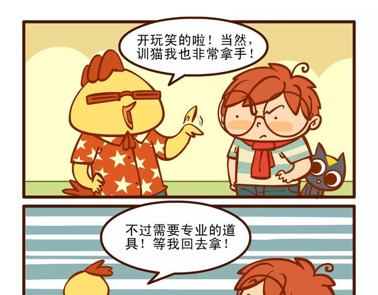 训猫记9