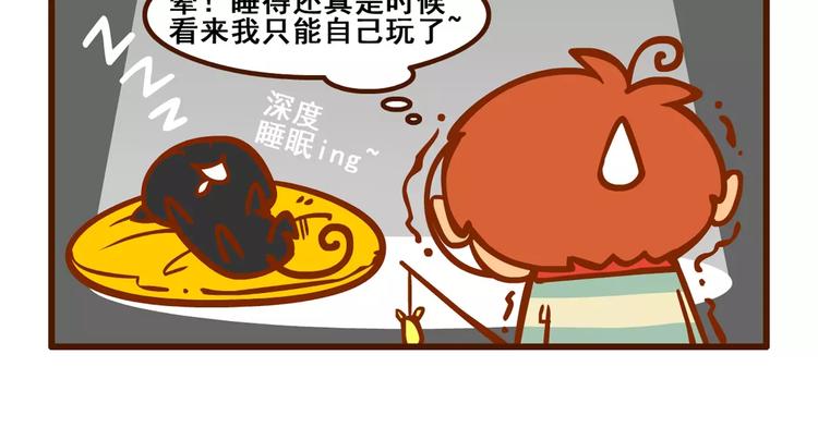 养猫记38