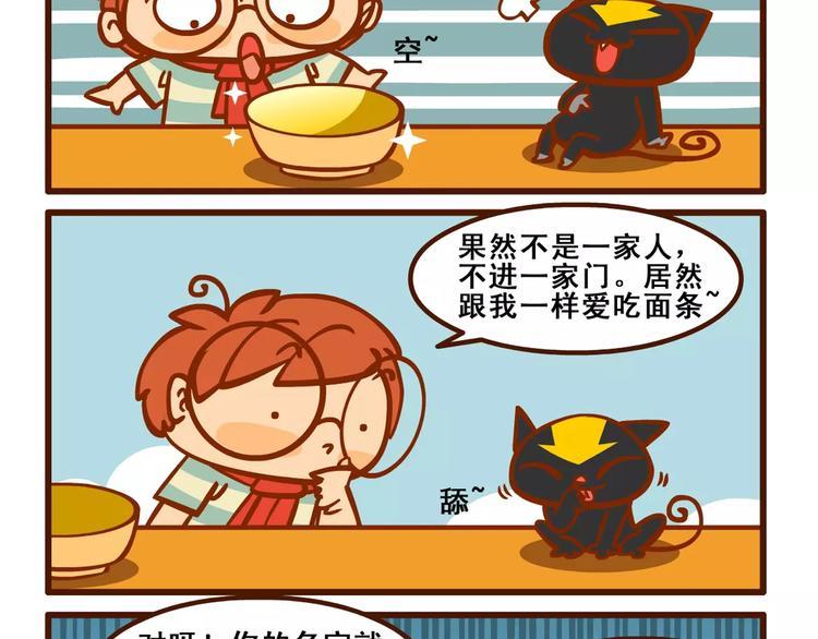 养猫记122