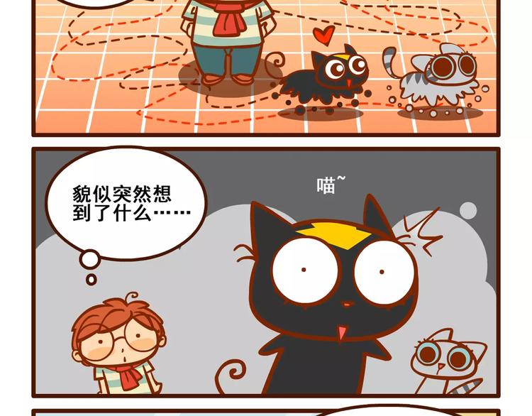 养猫记422